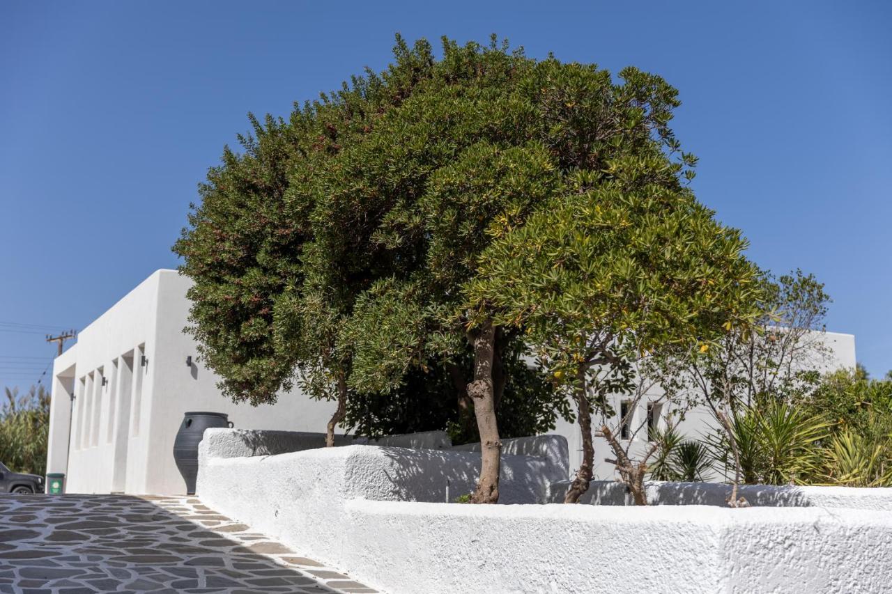 Naxos Green Village Hotel Naxos City Экстерьер фото